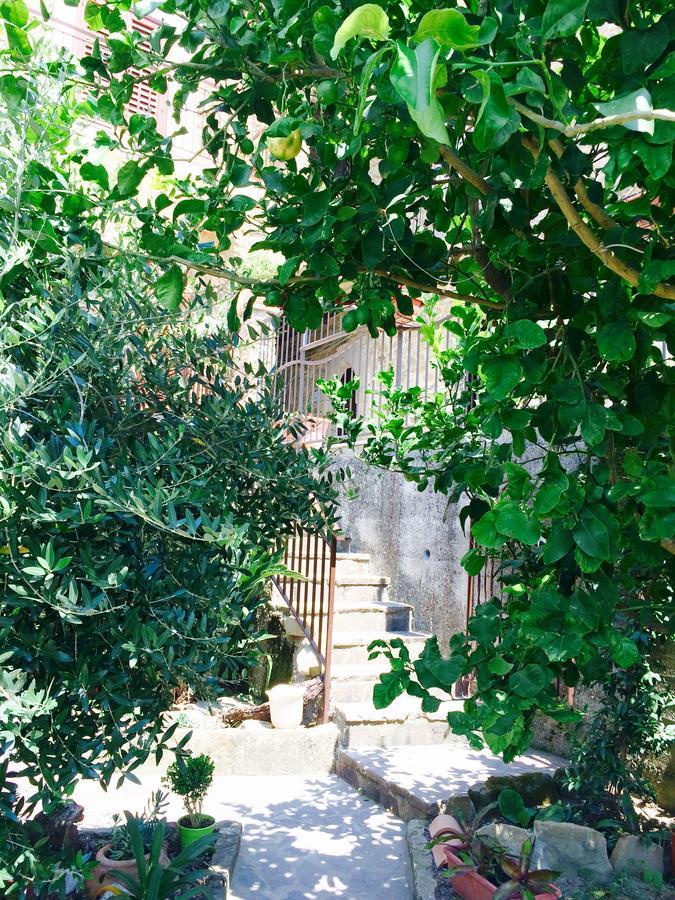 Pozzo Medievale Prignano Cilento 外观 照片