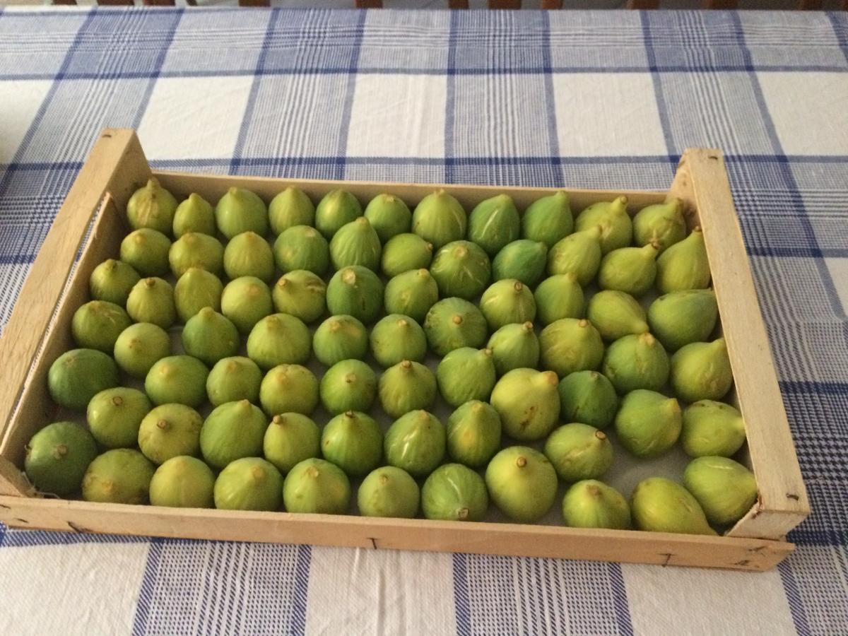 Pozzo Medievale Prignano Cilento 外观 照片