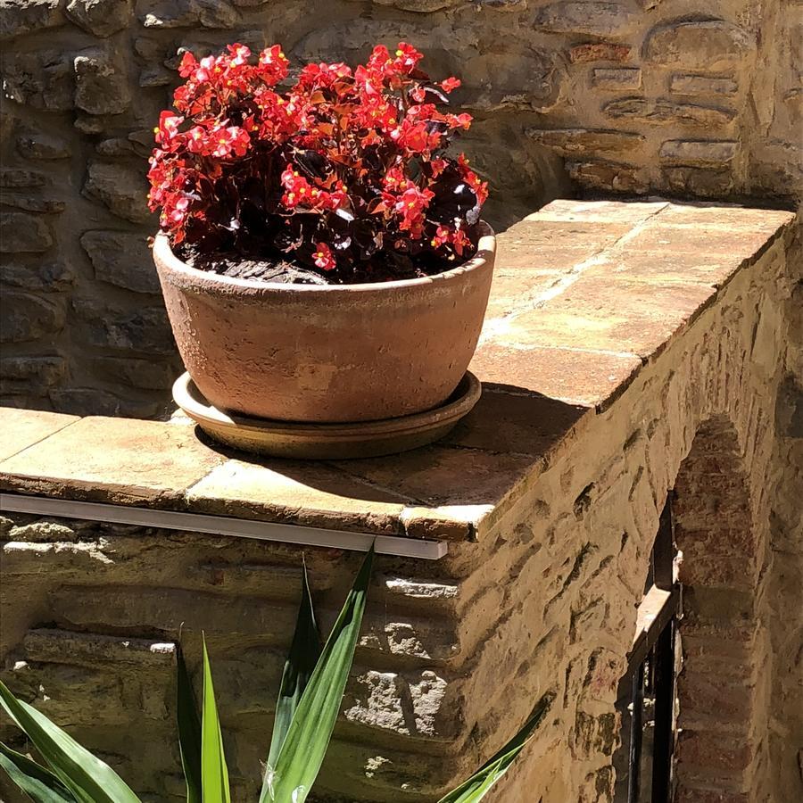 Pozzo Medievale Prignano Cilento 外观 照片